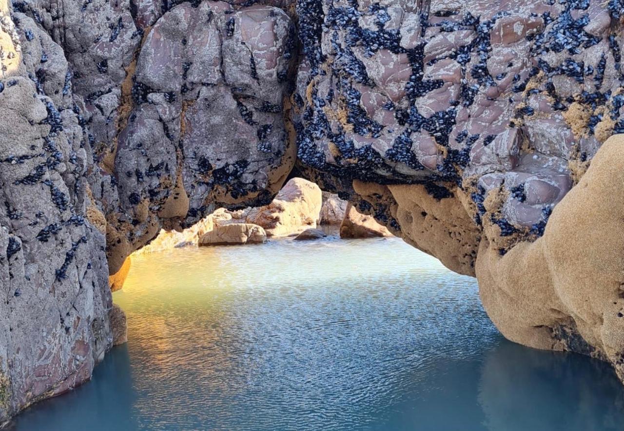 Rockpool - Bude Exterior foto